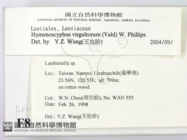 登錄號:F0008288藏品圖，第2張