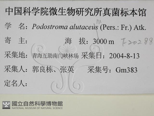 登錄號:F0020288藏品圖，第2張