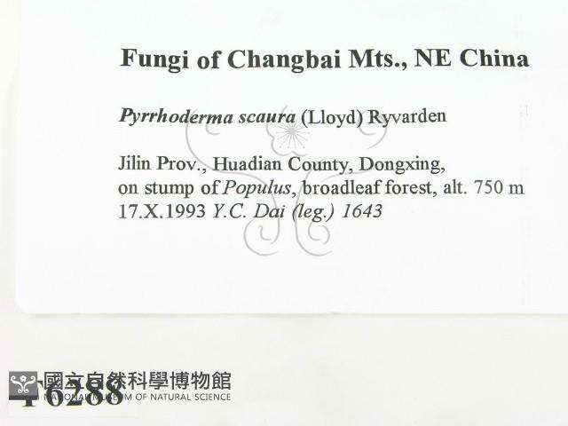 登錄號:F0006288藏品圖，第2張