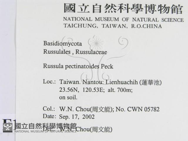 登錄號:F0016288藏品圖，第2張