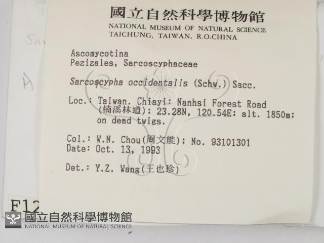 登錄號:F0001288藏品圖，第2張