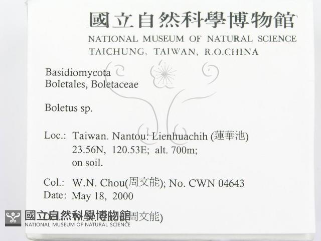 登錄號:F0014288藏品圖，第2張