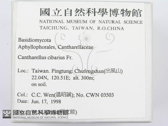登錄號:F0012288藏品圖，第2張