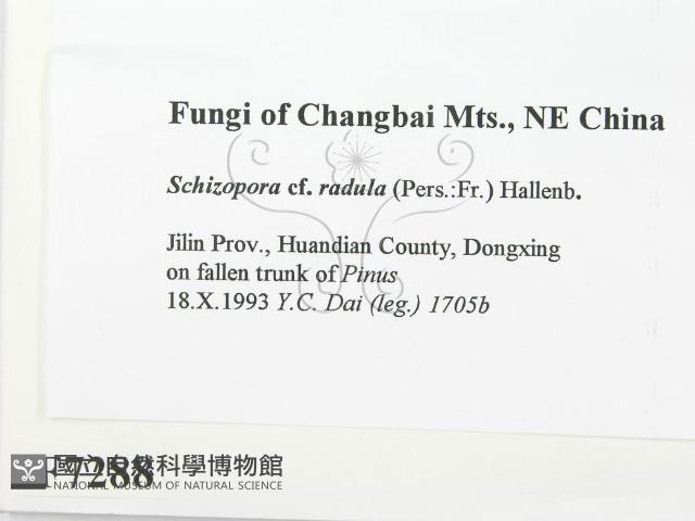 登錄號:F0007288藏品圖，第2張