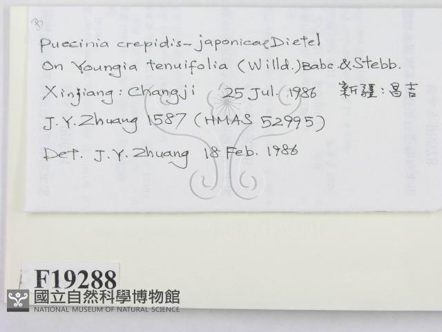 登錄號:F0019288藏品圖，第2張
