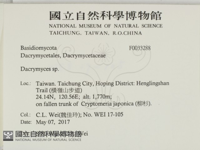花耳屬藏品圖，第2張