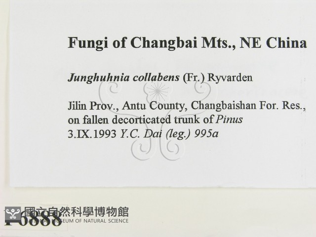 登錄號:F0006888藏品圖，第2張