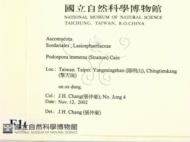 登錄號:F0016888藏品圖，第2張