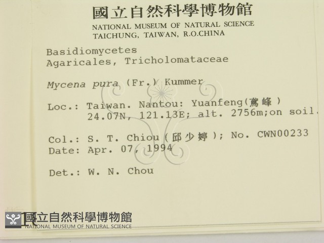登錄號:F0001888藏品圖，第2張