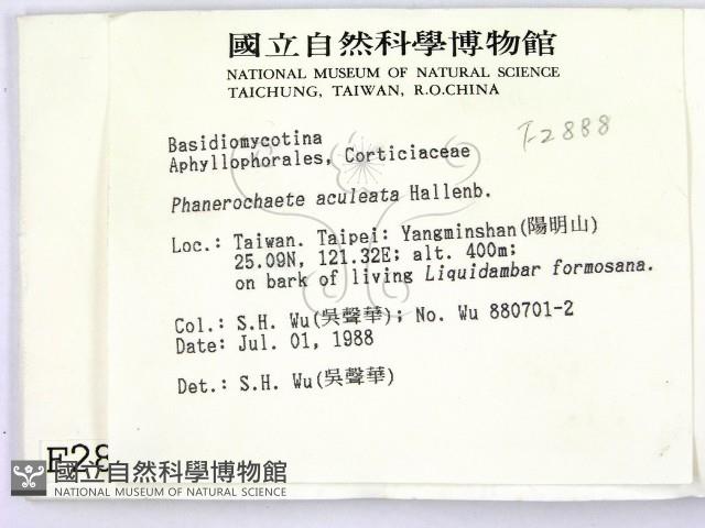 登錄號:F0002888藏品圖，第2張