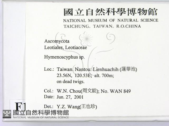 登錄號:F0012888藏品圖，第2張