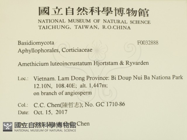 登錄號:F0032888藏品圖，第2張