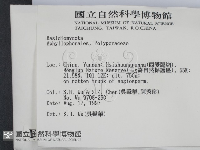 登錄號:F0007888藏品圖，第2張