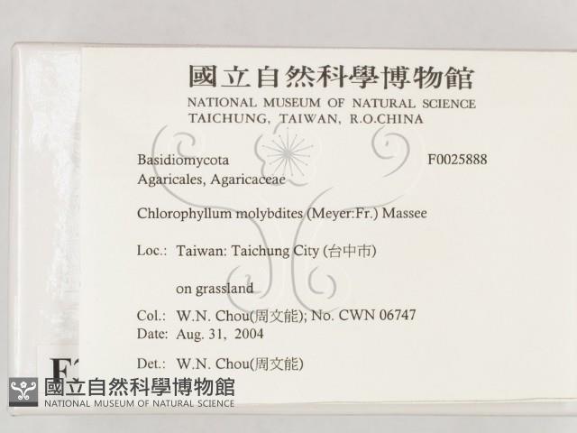 登錄號:F0025888藏品圖，第2張