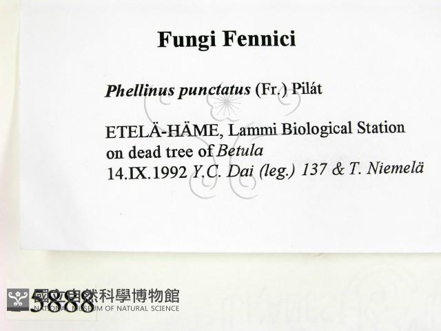 登錄號:F0005888藏品圖，第2張