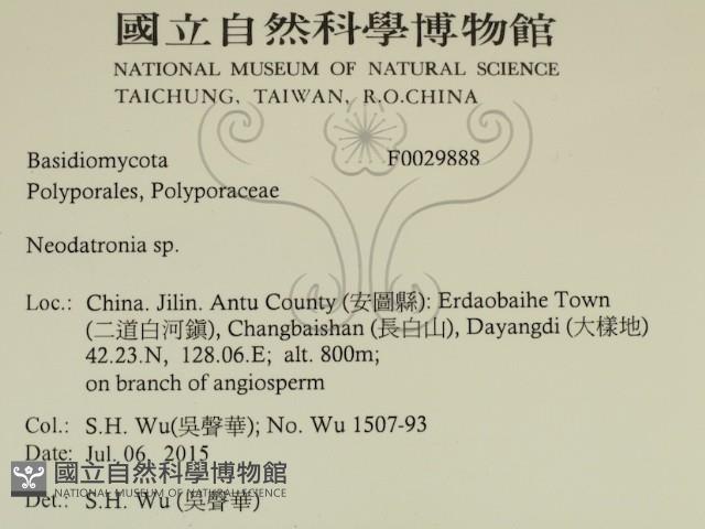 登錄號:F0029888藏品圖，第2張