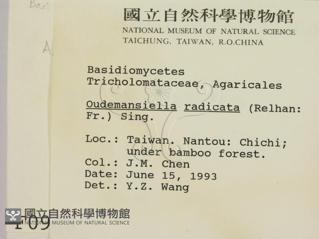 登錄號:F0000988藏品圖，第2張