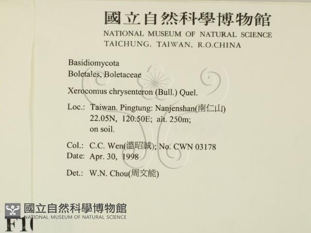 登錄號:F0010988藏品圖，第2張