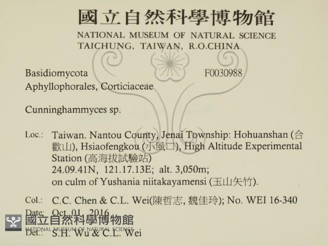 登錄號:F0030988藏品圖，第2張