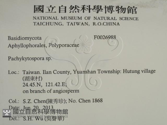 登錄號:F0026988藏品圖，第2張