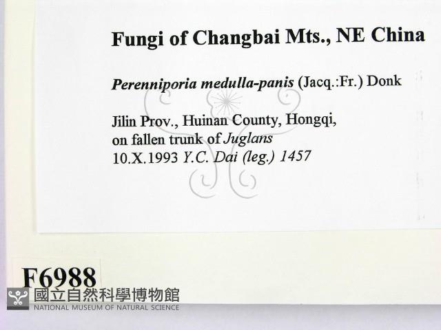 登錄號:F0006988藏品圖，第2張