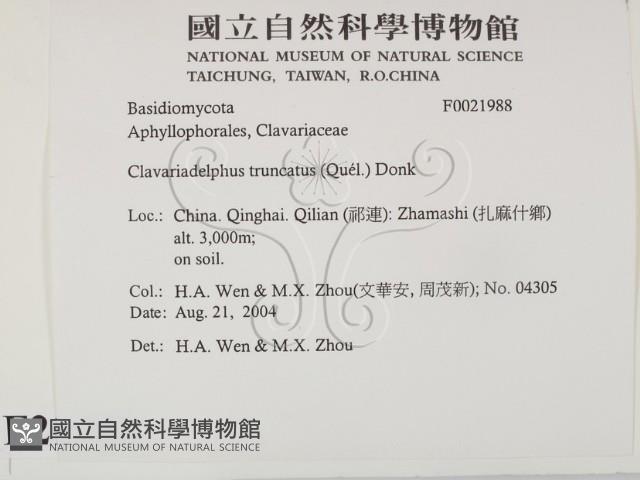登錄號:F0021988藏品圖，第2張