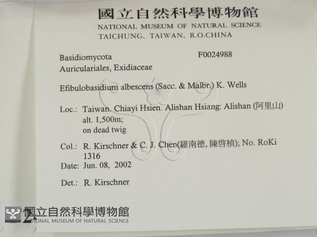 登錄號:F0024988藏品圖，第2張