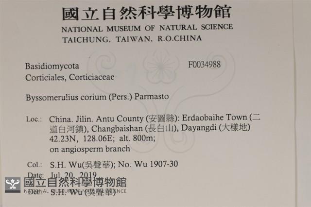 登錄號:F0034988藏品圖，第2張