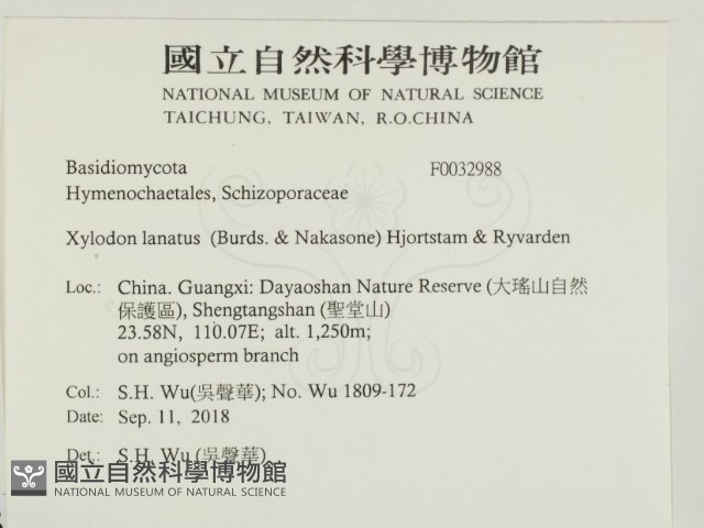 登錄號:F0032988藏品圖，第2張