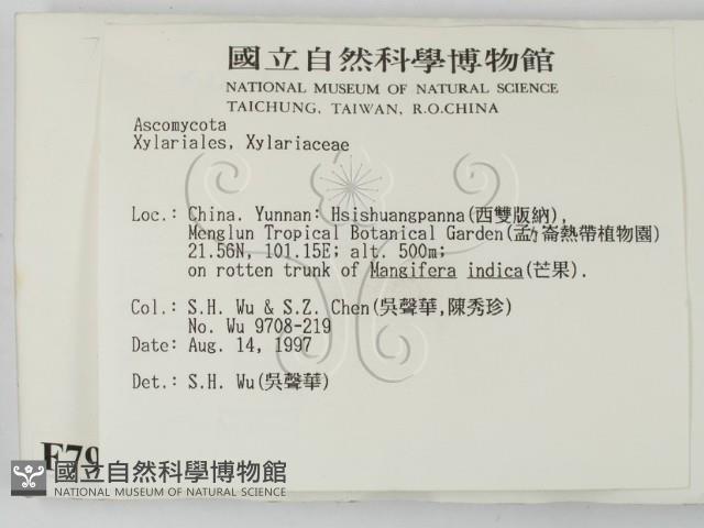 登錄號:F0007988藏品圖，第2張