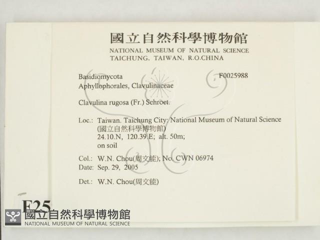 登錄號:F0025988藏品圖，第2張