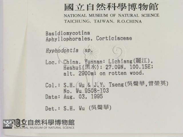 登錄號:F0003988藏品圖，第2張