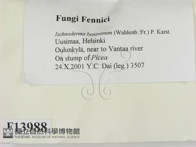 登錄號:F0013988藏品圖，第2張