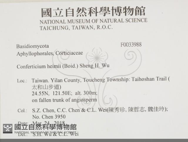 登錄號:F0033988藏品圖，第2張