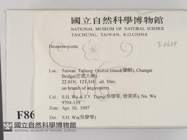 登錄號:F0008688藏品圖，第2張