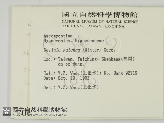 登錄號:F0000688藏品圖，第2張