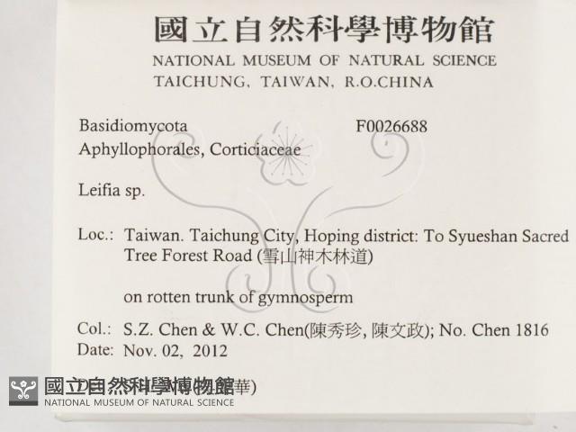 登錄號:F0026688藏品圖，第2張