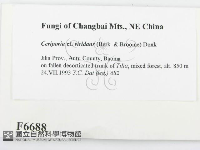 登錄號:F0006688藏品圖，第2張