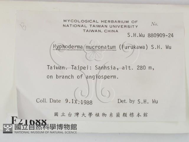 登錄號:F0021688藏品圖，第2張