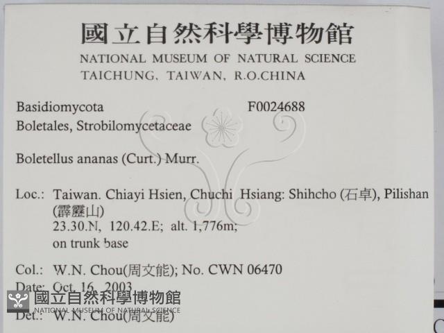 登錄號:F0024688藏品圖，第2張