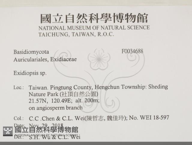 登錄號:F0034688藏品圖，第2張