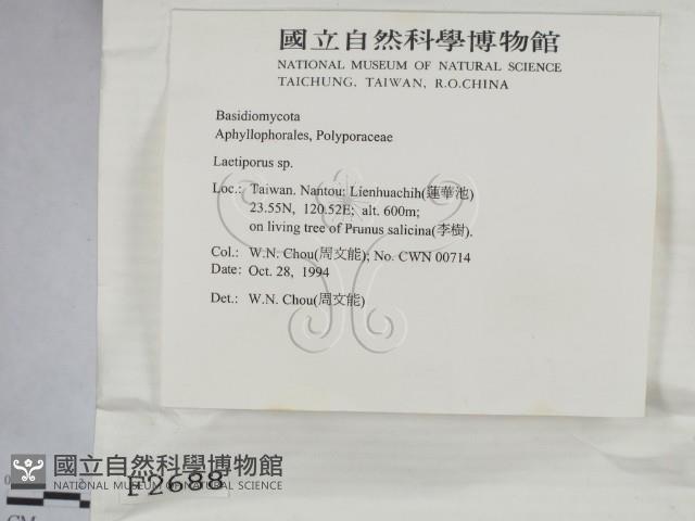 登錄號:F0002688藏品圖，第2張