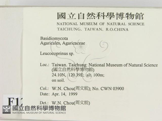 登錄號:F0012688藏品圖，第2張