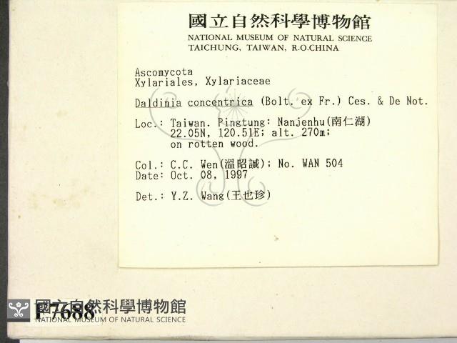 登錄號:F0007688藏品圖，第2張