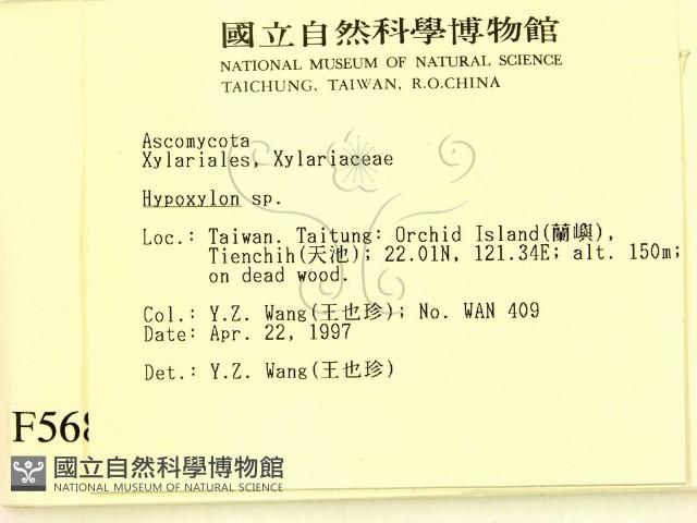 登錄號:F0005688藏品圖，第2張