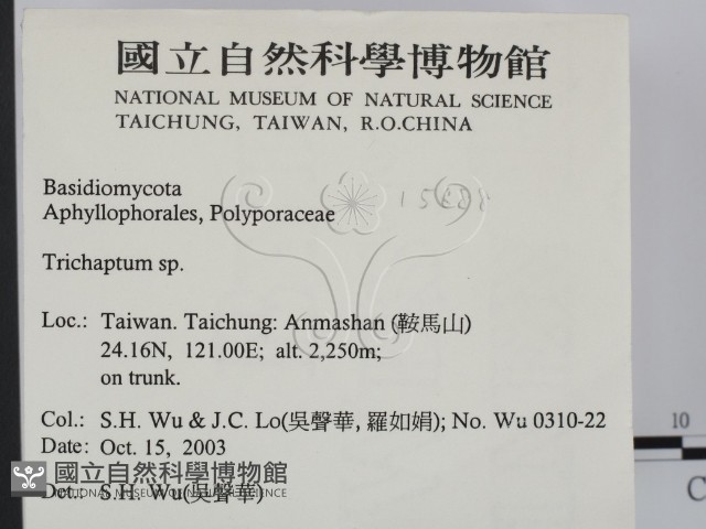 附毛菌屬藏品圖，第2張