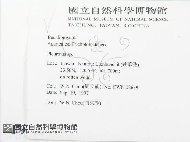 登錄號:F0009688藏品圖，第2張