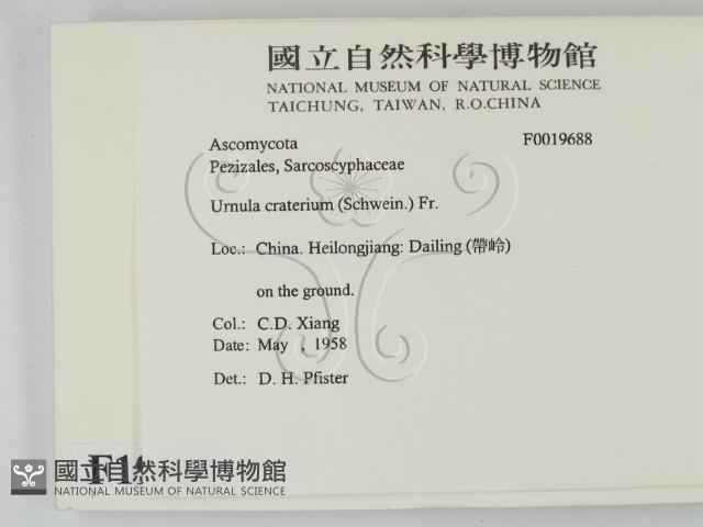 登錄號:F0019688藏品圖，第2張