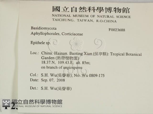 登錄號:F0023688藏品圖，第2張