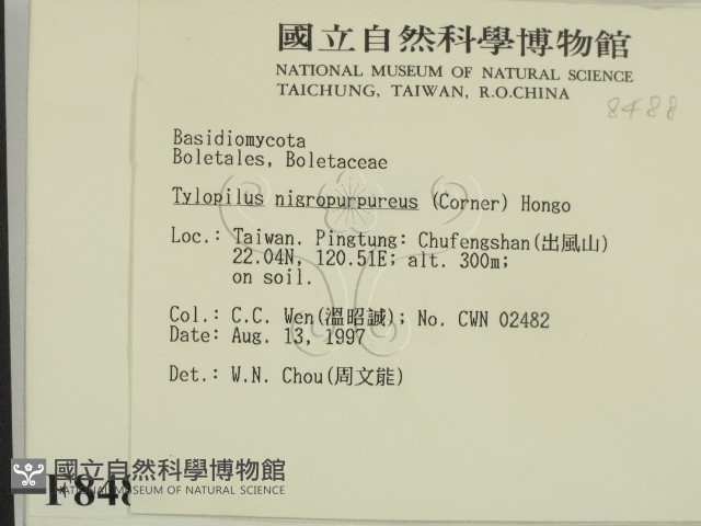 登錄號:F0008488藏品圖，第2張